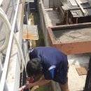 윤가이불 이미지