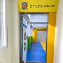 키다리 태권도 이미지