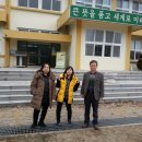 무정초교 이미지