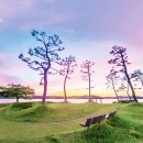 미관광장 이미지