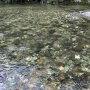 하북농업협동조합 하나로마트 이미지