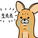 늘도민박펜션