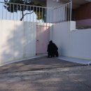 장안여자중학교 이미지