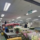시장길 | [고속터미널] 고터 꽃시장 일반인 구매 후기 / 길찾기 / 시세 / 꽃다발 쉽게 만드는법 : 고속버스터미널...