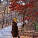 브라운 앤 라운드 | 스파오 스웨이드 하프코트 S사이즈 사뿐 벨리안 라운드 폴딩 롱부츠 내돈내산 후기