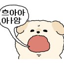 오가네국밥 이미지