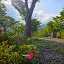 지리산 콤마 612 이미지