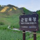 종생농장 네이버블로그