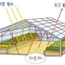 온실이야기 이미지