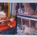 원금농장 이미지