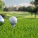 검단월드 골프클럽 이미지