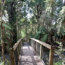 힐 스프링 이미지