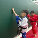 용인대 영광태권도 | 금광동태권도 애들 다같이 다니는 곳