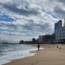 늘푸른펜션민박 이미지