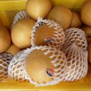 순수농장 이미지