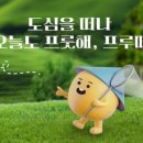 세왕농장 이미지