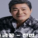 소금꽃/노래 진성 이미지