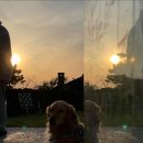 제주올림피아 이미지