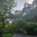 마음이머무는곳 | 마음이 머무는 곳, 고창 선운사