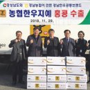 농협한우지예 조합공동사업법인 이미지
