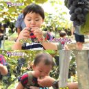 먹방농장 이미지