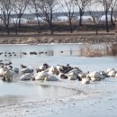 우강평야1로 이미지