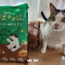 펫폴리오샌드, 고양이 벤토나이트 모래 베이직 샌드 후기