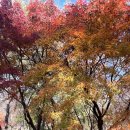 둘레목장 이미지