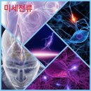 셀프건강 셀프닥터 | 미세전류 재활 마사지기 라라셀프닥터(라라코리아)