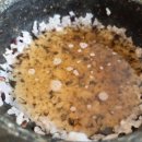 도니친구미나리 이미지