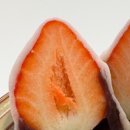 작소농장 이미지