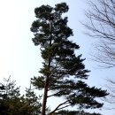 제2가흥교 앞(12번) | 1번부터 6번까지 홈런타자? 극과 극 매력의 두 개 코스 리뷰! 삼척 블랙밸리CC 1박 2일 라운드 후기