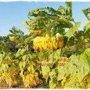 항구모텔 이미지