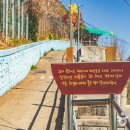 【여행】 한국관광공사 추천 4월의 걷기여행길, 마음을 비우고 혼자 걷기 좋은 길 이미지