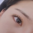 끌리제 속눈썹
