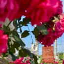 데일리로그감성사진관 이미지