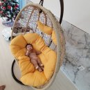 오복지 펜션 이미지