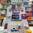 솔빈약국 이미지