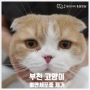 중동우리아이동물병원 이미지