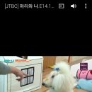 (주)이수영상 이미지