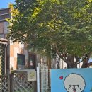 별아래 펜션 | (밀양) 밀양애견동반펜션 별아래펜션