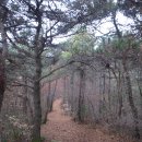 송학동-11 이미지