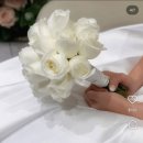 모카트리 | 강릉 부케 모카트리 본식 부케 후기