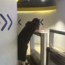 계마신오돌집 이미지