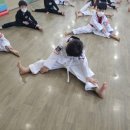 국제키즈태권도 이미지