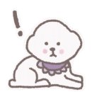 모모애견미용실 이미지