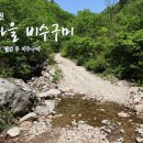 강원화원 이미지