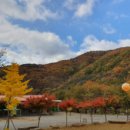 숲이조아캠핑장 이미지