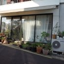 플로제 이미지