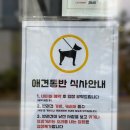 카츠탄탄 이미지